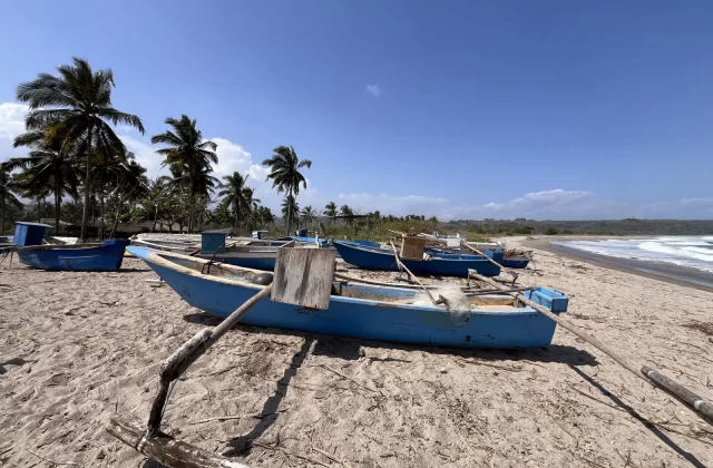 Several blue traditional fishing boats with outriggers rest on a sandy beach lined with palm trees, under a clear blue sky, next to the ocean.