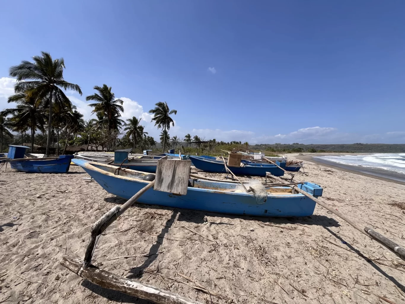 Several blue traditional fishing boats with outriggers rest on a sandy beach lined with palm trees, under a clear blue sky, next to the ocean.