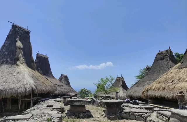 Traditional houses with tall, conical thatched roofs and ancient stone structures stand under a bright blue sky in Totok Kalada Village, Sumba.