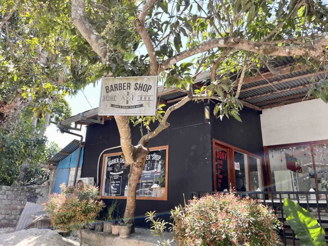 The black-painted Detail Box Barbershop building is seen from outside, partially hidden by green trees, with its sign hanging from a branch in sunny Waikabubak.