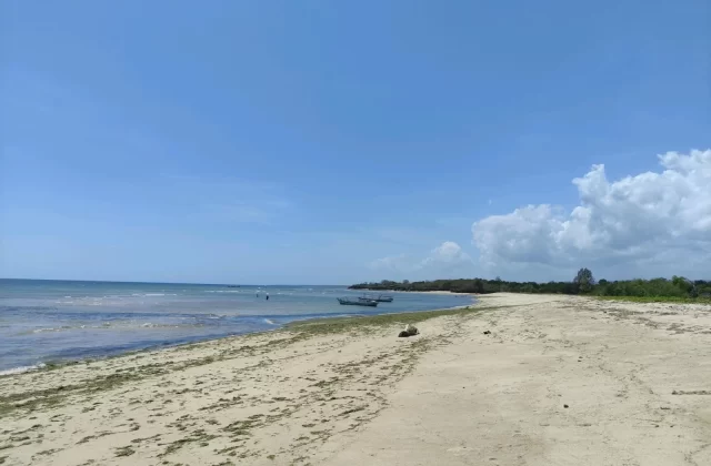 Katewel Beach features a wide sandy shore with green seaweed, calm blue ocean water, two small boats, and two people wading under a bright blue sky with white clouds.