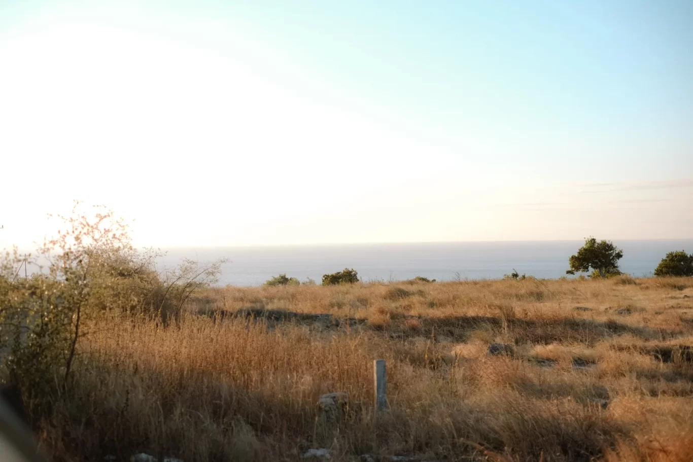 A sun-drenched Purukambera Savanna in Sumba features golden-brown dry grass and scattered bushes, with a calm blue ocean under a bright sky.