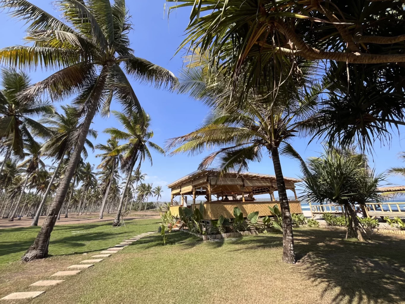 A bamboo and thatched-roof restaurant sits on a green lawn with many tall palm trees under a clear blue sky, overlooking the ocean.