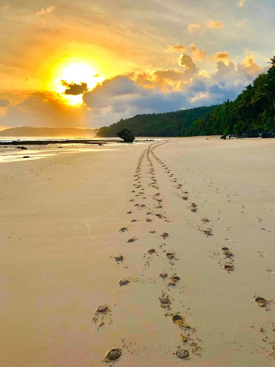 Golden sunset illuminates a wide sandy beach with footprints leading towards the ocean and a large rock, backed by lush green hills and palm trees.