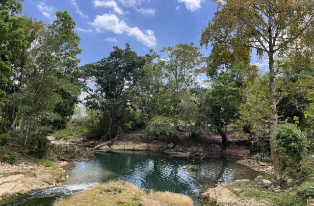 A serene natural spring with deep turquoise water is surrounded by dense green trees and rocky banks under a bright blue sky with white clouds.