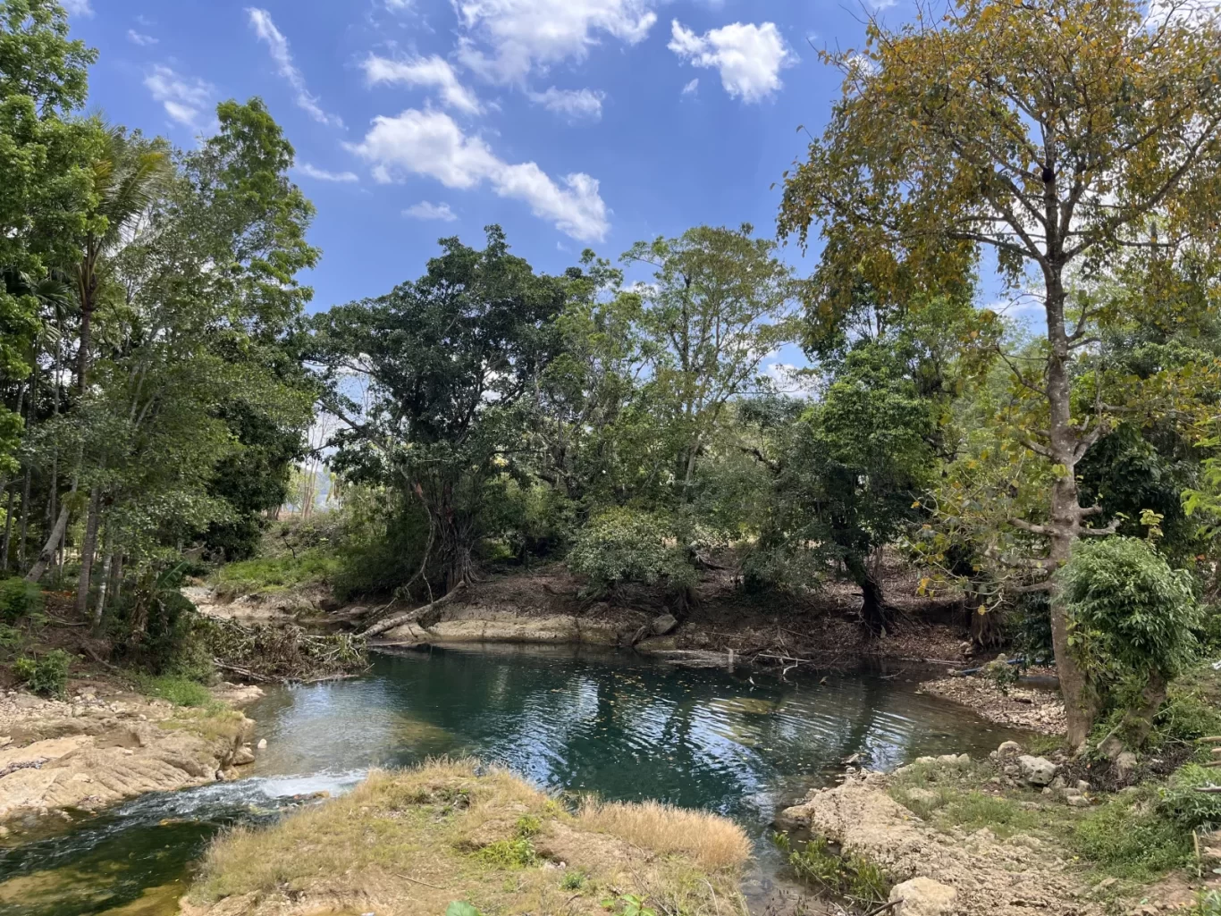 A serene natural spring with deep turquoise water is surrounded by dense green trees and rocky banks under a bright blue sky with white clouds.