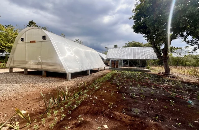 Elevated translucent solar dryer and a metal-roofed building stand on the Talasi Estate, with rows of young crops in the foreground.