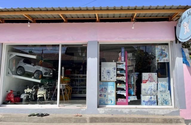 Grace Toy Shop in Waikabubak, with a pink facade, displays toy vehicles and boxed baby items in its large glass windows under a clear blue sky.