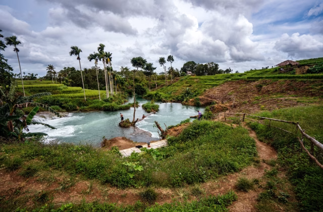 A winding turquoise river flows through lush green rice paddies and palm trees under a cloudy sky, with people near the water and a dirt path in the foreground.