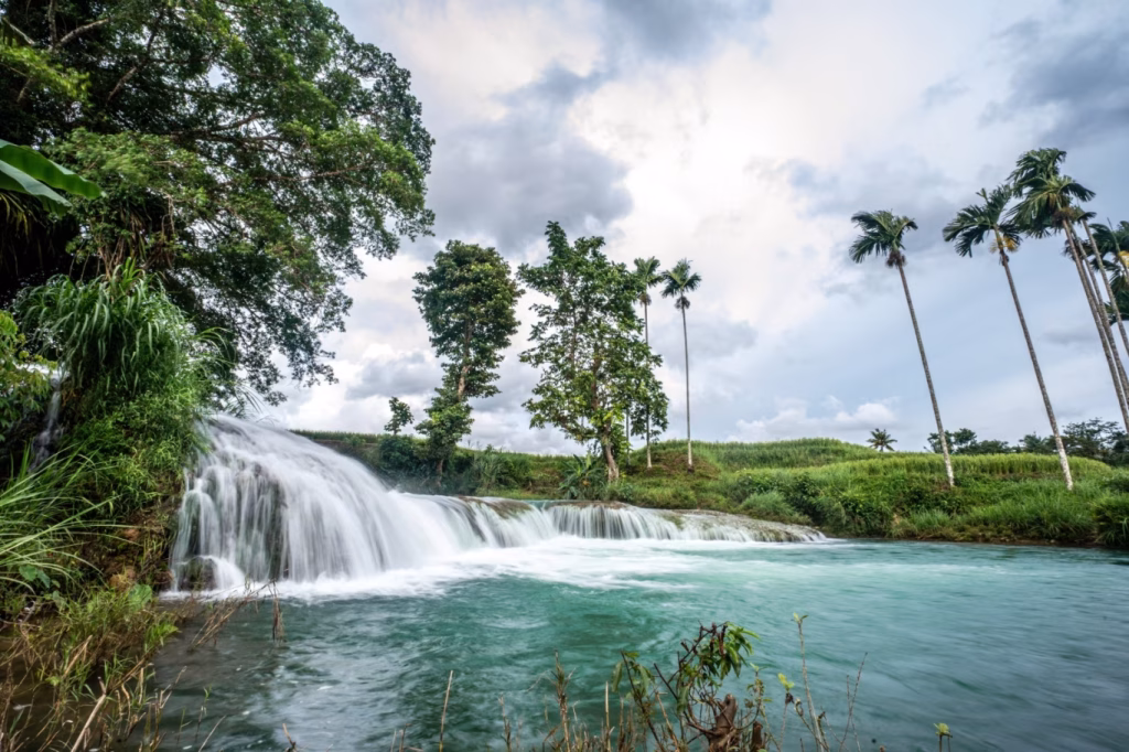 A wide, low waterfall cascades into a turquoise river surrounded by lush green tropical trees and tall palm trees under a cloudy sky.