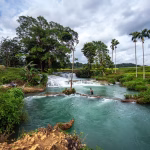 A man stands in a turquoise river with a multi-tiered waterfall, surrounded by lush green trees and a line of tall palm trees under a cloudy sky.