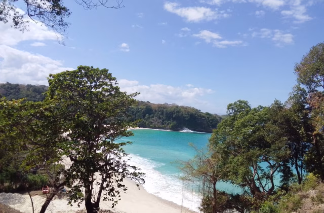A tropical white sand beach with turquoise water and gentle waves is seen from an elevated view, framed by lush green trees under a blue sky.