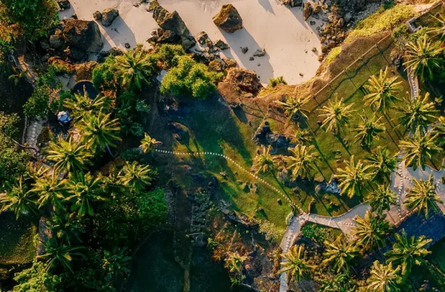 Aerial view of vibrant green terraced rice fields, palm trees, and winding paths leading to a rocky, sandy beach with clear blue ocean water.