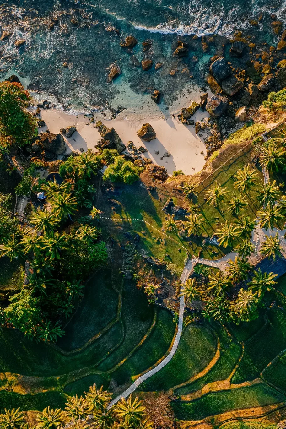 Aerial view of vibrant green terraced rice fields, palm trees, and winding paths leading to a rocky, sandy beach with clear blue ocean water.