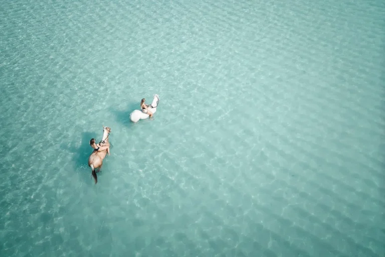 Two people ride a white and a light brown horse in clear, shallow turquoise water, seen from an aerial perspective.