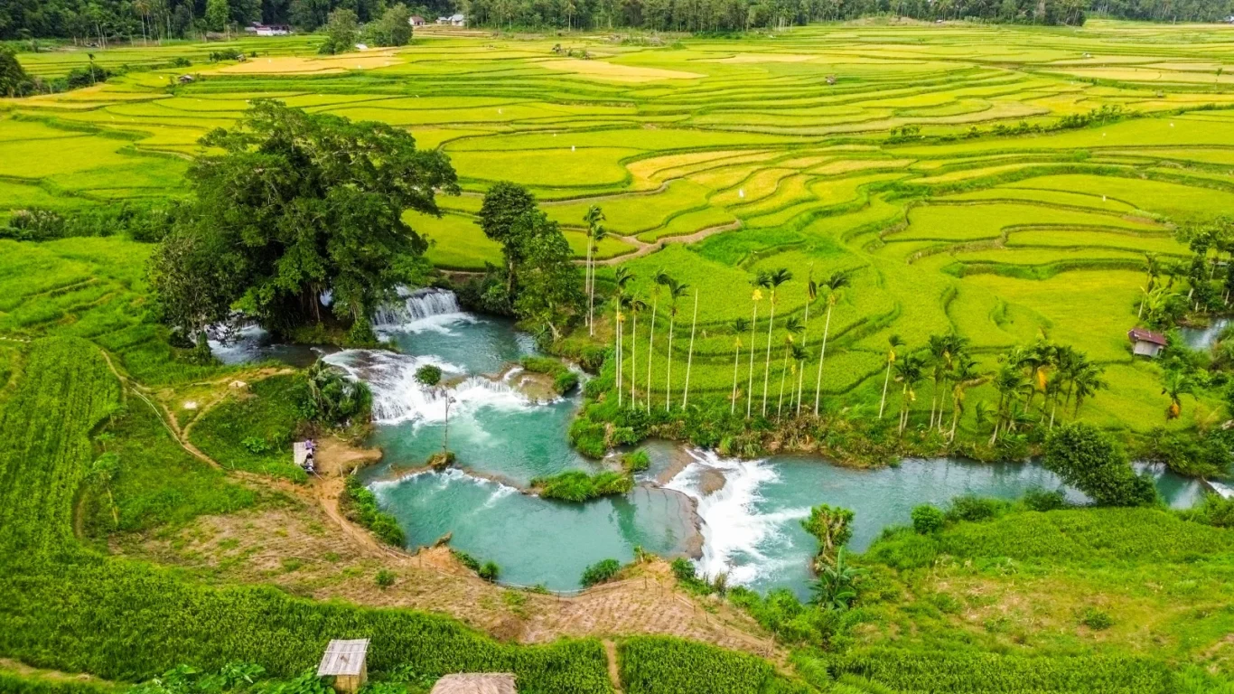 An aerial view shows turquoise waterfalls cascading through vibrant green terraced rice paddies and lush trees under a bright sky.