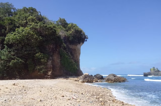 A sunny beach scene features a tall, tree-covered cliff on the left, a sandy and rocky shore, and blue ocean waves breaking on dark rocks and a small island in the distance.