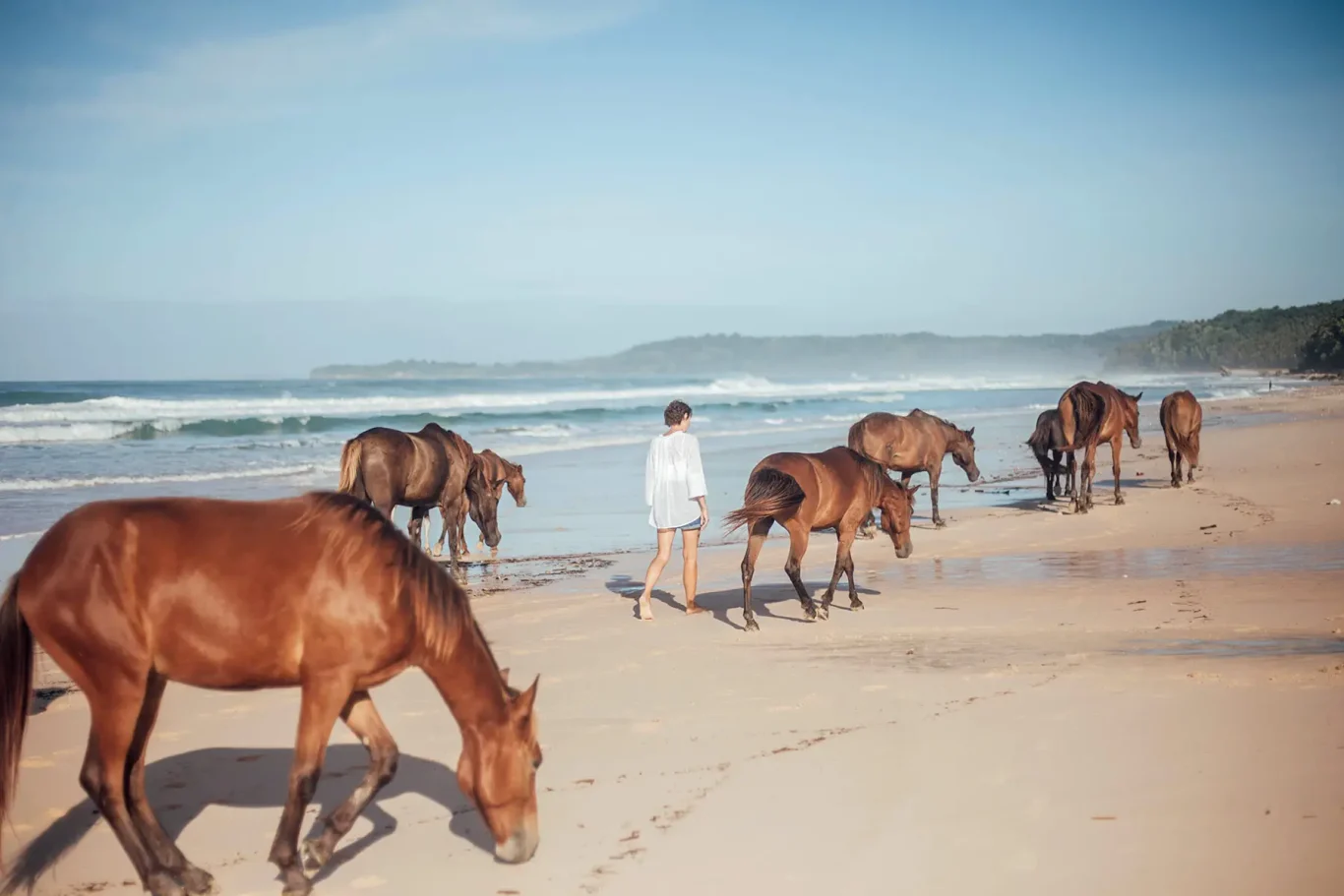 A woman in a white shirt walks barefoot on a wide sandy beach alongside several brown horses near the blue ocean under a clear sky.