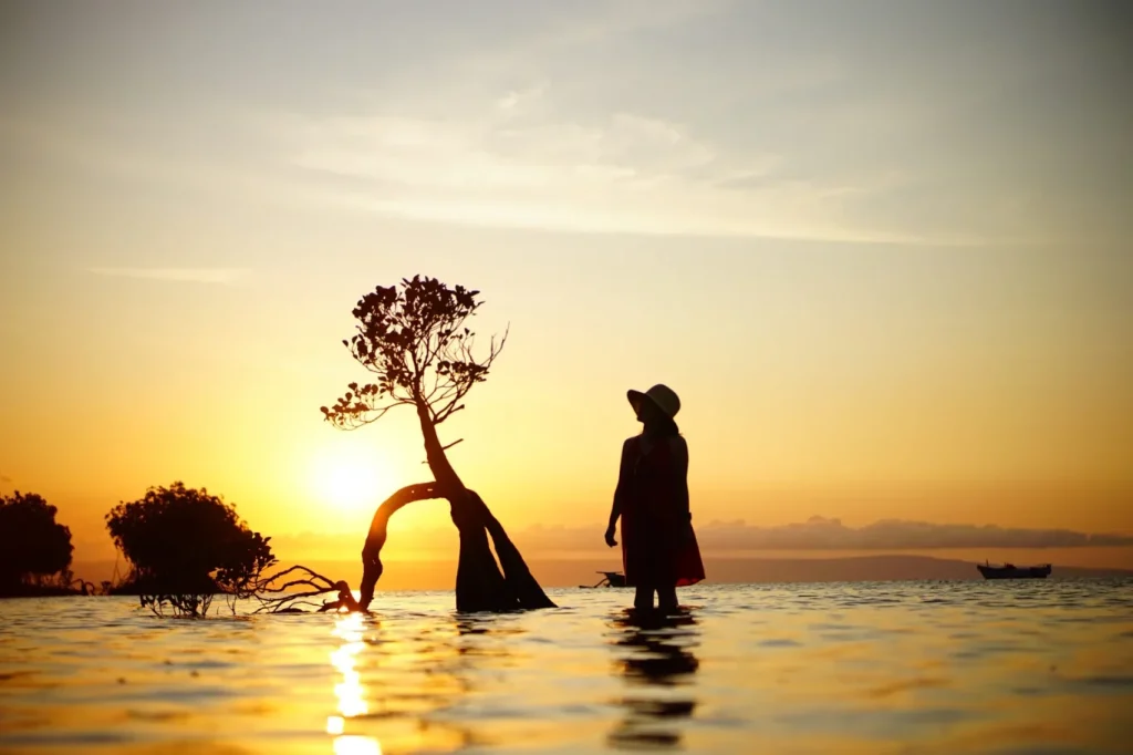 A person in a hat stands in shallow water next to a silhouetted tree, facing a vibrant golden sunset over the ocean with distant islands and a boat.