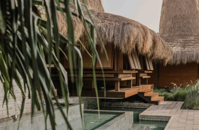 Traditional thatched-roof bungalows with wooden platforms and steps stand beside light blue water features, framed by blurred green palm leaves and tall grasses.