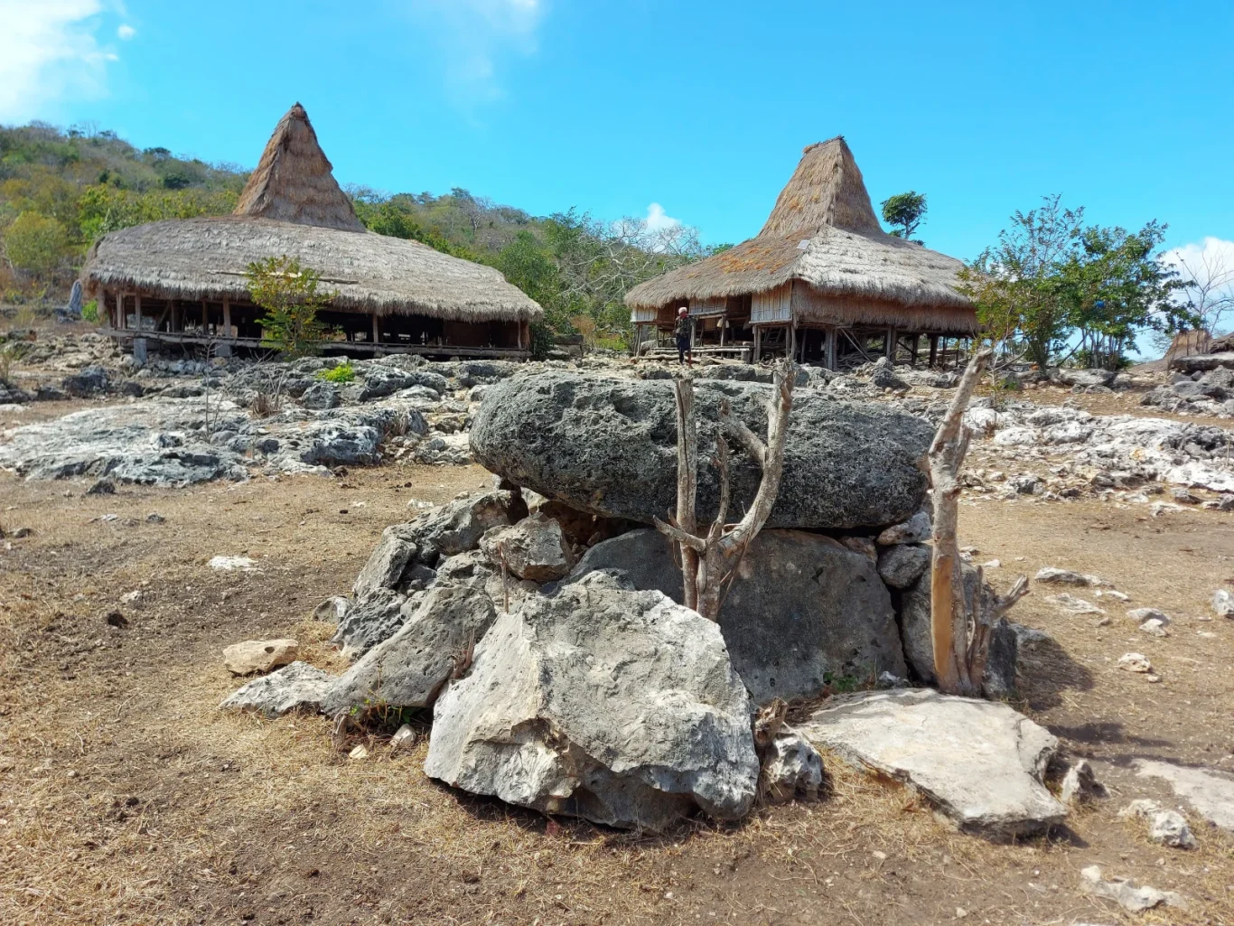 Two traditional Sumba houses with tall thatched roofs stand on stilts on rocky, dry ground under a clear blue sky, with a person near one house.