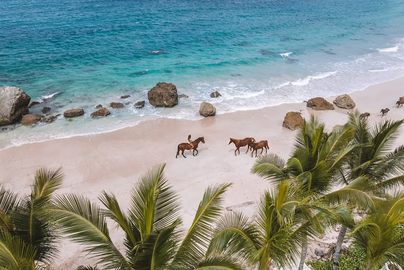 A person rides a brown horse along a white sandy beach with turquoise ocean waves, large rocks, and green palm trees.