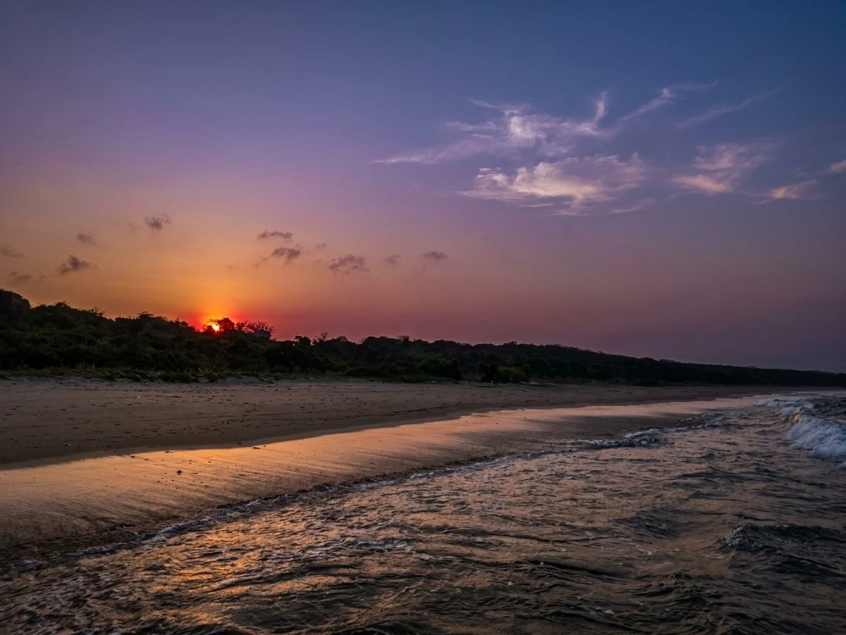 The sun sets in vibrant orange and red behind a dark green tree line, casting reflections on the wet sand and gentle waves of a beach under a purple and blue sky.
